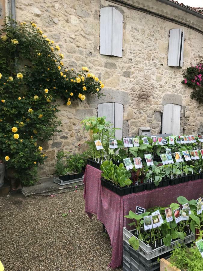 Gite Du Paradis Vieuzos Eksteriør billede